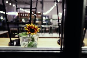 Zollhafen Mainz at night