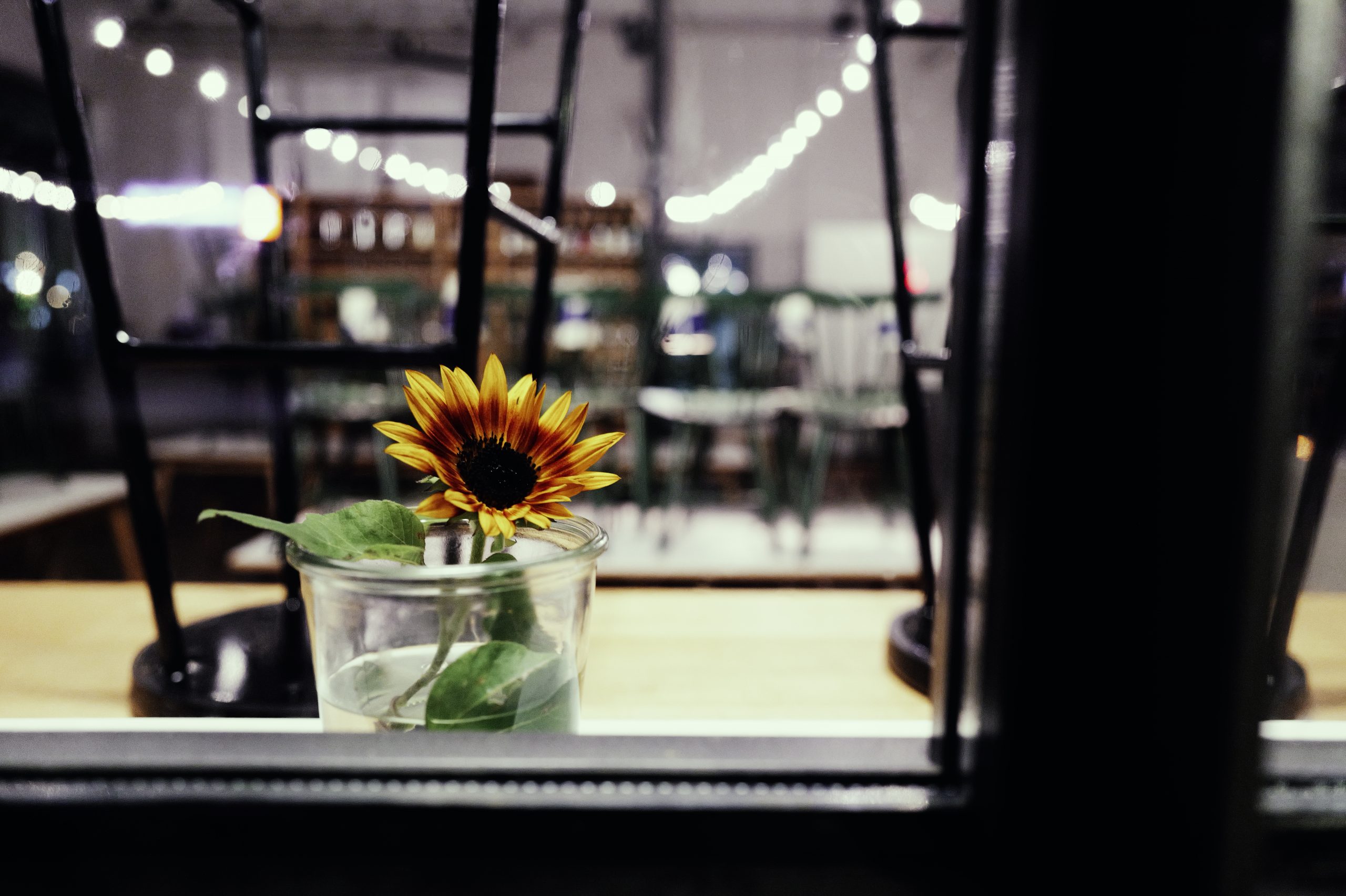 Zollhafen Mainz at night